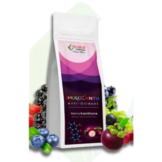 Renatus ImuuXanth Antioxidant | NanoXanthone Nutraceutical