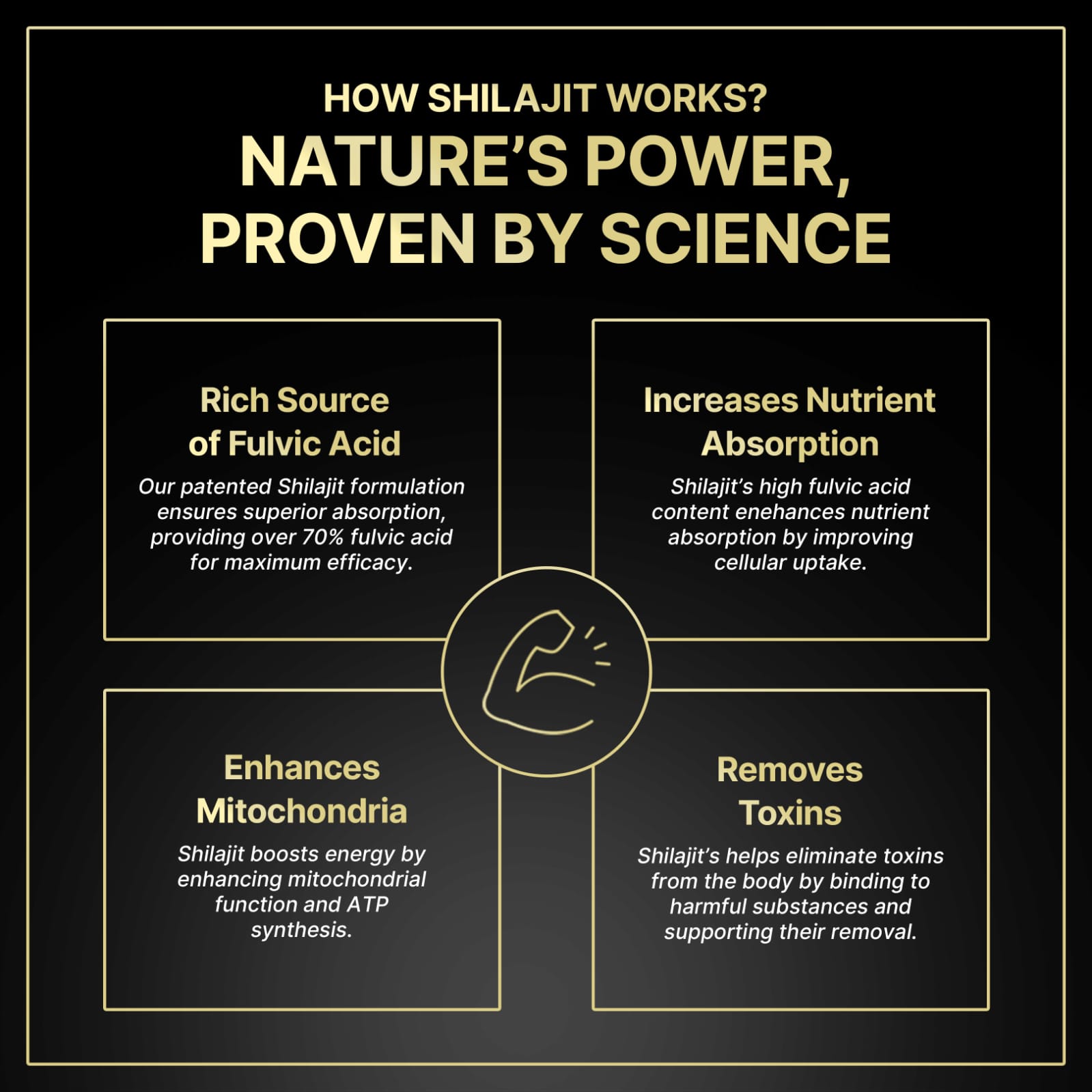 Saffron Life Sciences Shilajit – Strength & Stamina Booster - Image 3